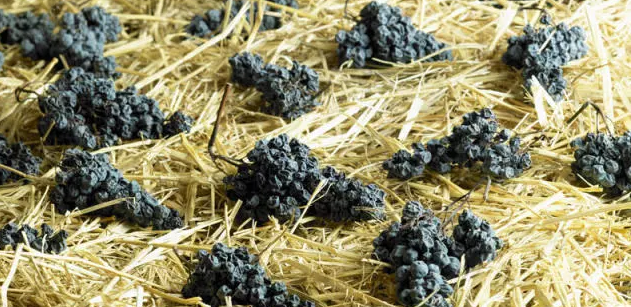 葡萄酒糖分越高，酒精度就越低？