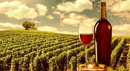 刷新拍賣紀(jì)錄的1945年羅曼尼·康帝是一款怎樣的酒？